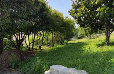 Studio avec vue - Foto 12