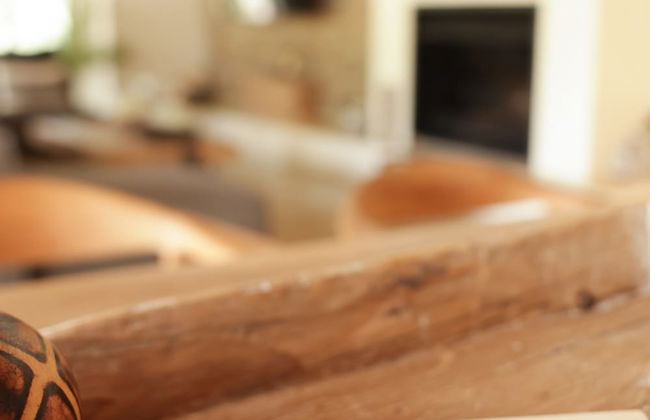 Villa Appelblaar Luxury 4 Bedroom Villa Home in the South African Bush - Photo 5