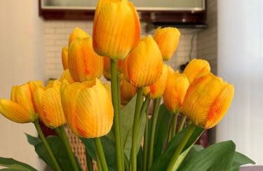 Studio Moderno no centro de São Paulo - Foto 21