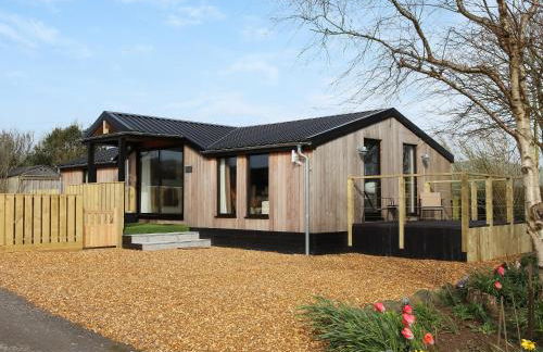 Gwdihŵ - Uk45625 - Foto 1