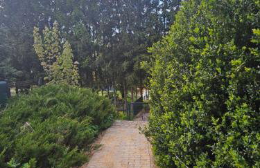 Domek Jelonek nad jeziorem i rzeką - Foto 9