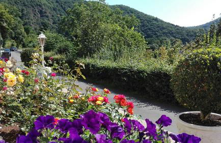 Haus Schönblick - Photo 3