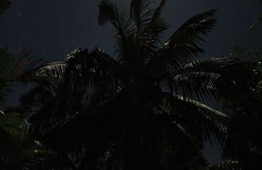 Island Paradise Awaits You - Foto 65