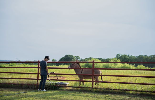 Peaceful Luxurious Ranch Family Reunion - Photo 59