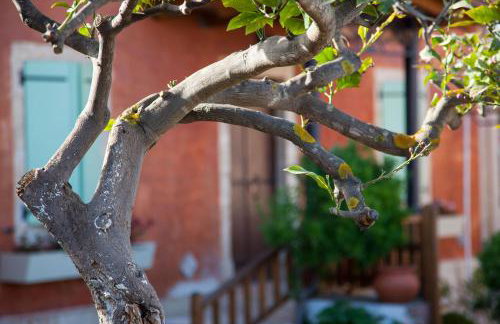 Villa Maria Kefalonia - Foto 25