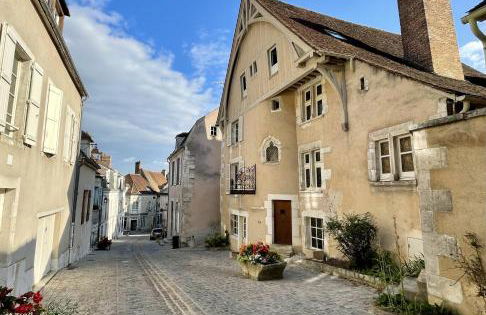 Le Pigeonnier centre historique Auxerre - Foto 48