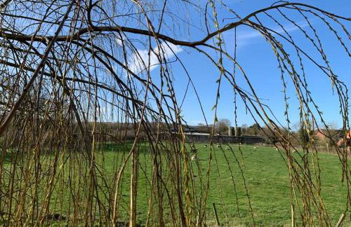 The Hideaway: Farnsfield (5 mins from Southwell) - Foto 13