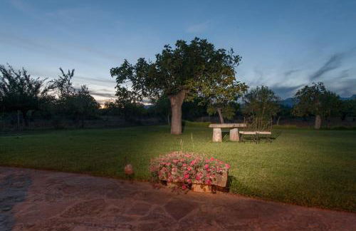 Agroturisme Son Pons - Foto 11