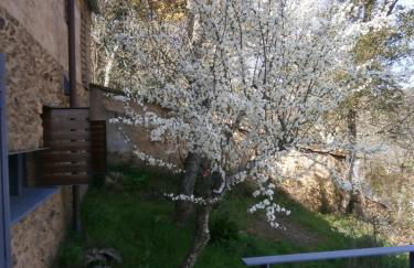 El Risco del Lomero, chimenea 4 Huesp max - Foto 96