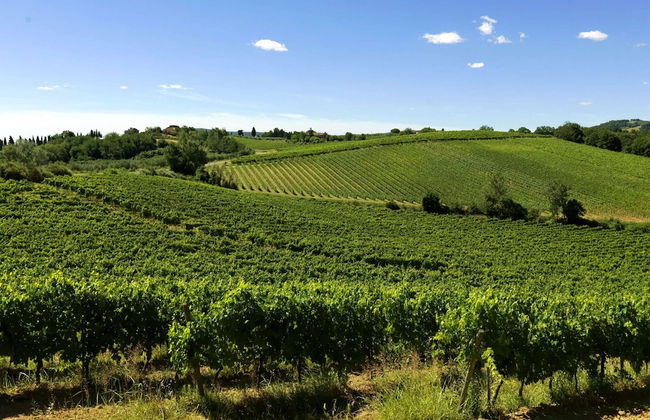 Farmhouse in Tuscany With Pool & Wine Tasting - Foto 25