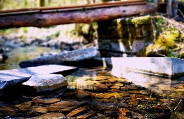 Auszeit am See - Foto 17