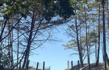 Cichy Zakątek - Foto 23