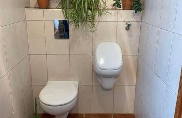 Agroturystyka Biebrzańska Kraina - Foto 55