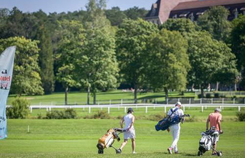 Appartement lumineux 4* pour 2 à Vittel, proche thermes, WiFi, parking gratuit - FR-1-589-745 - Foto 15