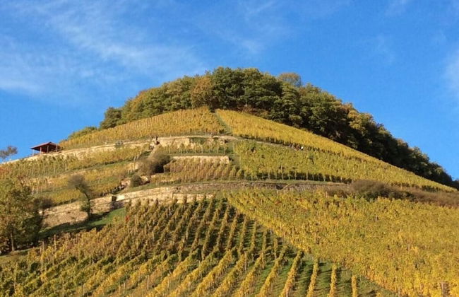 Holiday Apartment Meadow - Foto 11