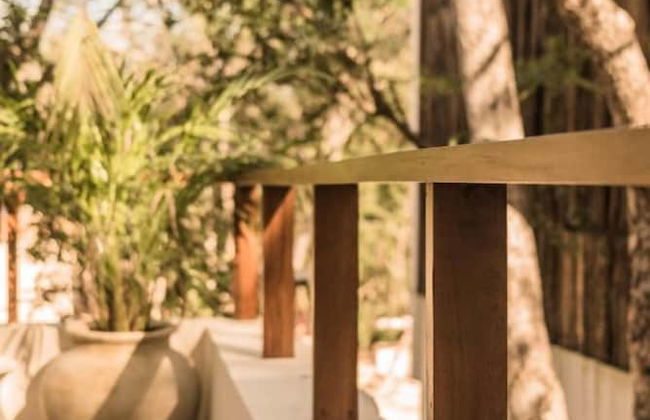 Deep in the Jungle House - Foto 26