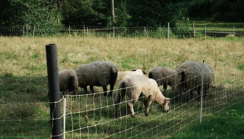 Gîte de l'Abbaye de l'Étanche - Foto 5