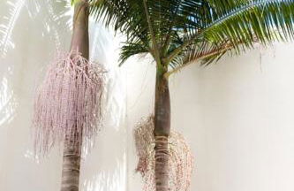 GuestReady - Charming Caniço Retreat - Foto 36