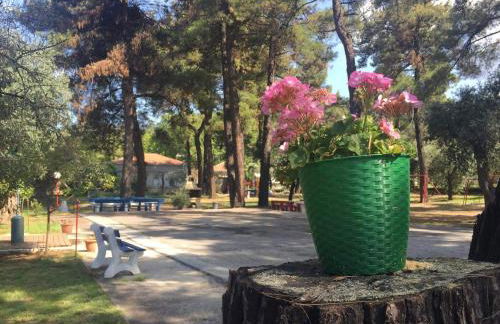 Nisteri Seaside - Photo 35