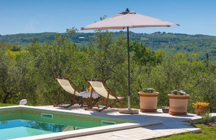 Beautiful Villa Cartolina with pool in Buje - Foto 23