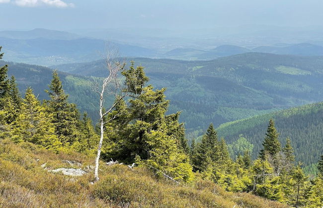 Mountains Family Retreat - Foto 38