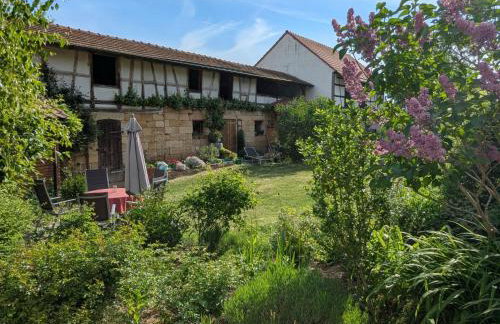 Apartment Haselbach 6 by Interhome - Foto 22