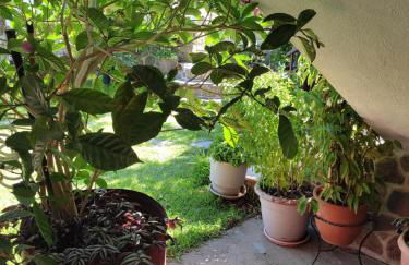 Sweet Home - Foto 10