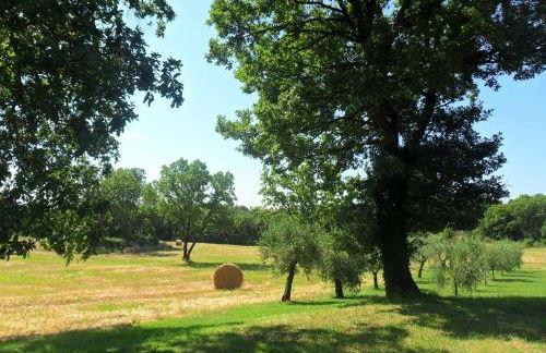 Casale Santa Caterina - Foto 17