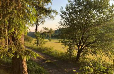 Fewo Meschede Eversberg Radring - Foto 64