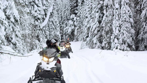 Paseo en moto de nieve por el Parque Nacional de los Fiordos de Kenai - Foto 4, Siguiendo al guía