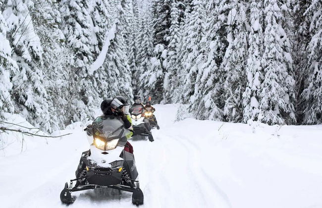 Kenai Fjords National Park Snowmobile Tour - Photo 4