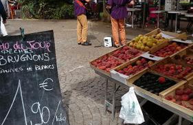 Rivière Retreat - Foto 24