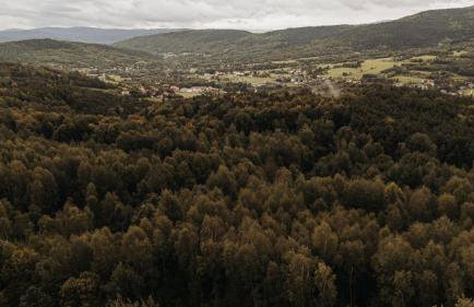 Honey House Wierchy- prywatna strefa SPA - Foto 16