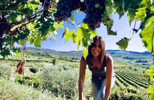 Appartamento Villa Borghetti - Photo 18