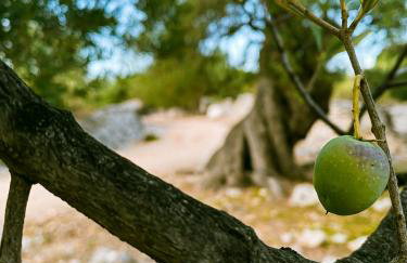 MarAzul Apartments - Foto 60