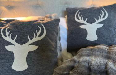 Bavaria Mountain Chalet DESIGN Ferienwohnung SKI Arber Osser Terrasse Sauna in Villa mit Bergblick bis 6 Pers - Foto 20