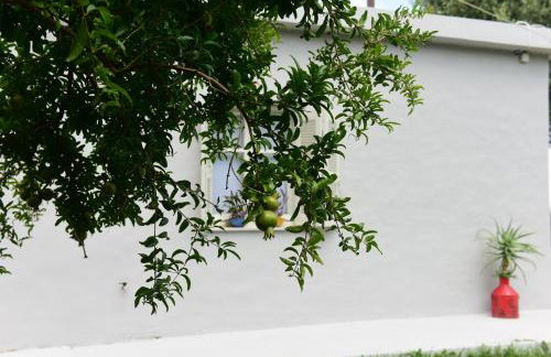 Plakias Riviera - Foto 86