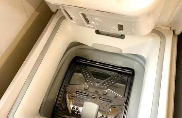 fattoria Coppetella Cemani - Photo 15