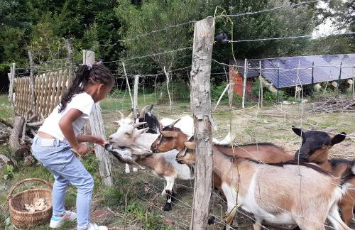 Gîte de Carguillet - Photo 31