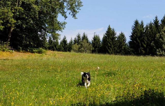 Waldhaus Sonnenberg Apartment 1 - Foto 11