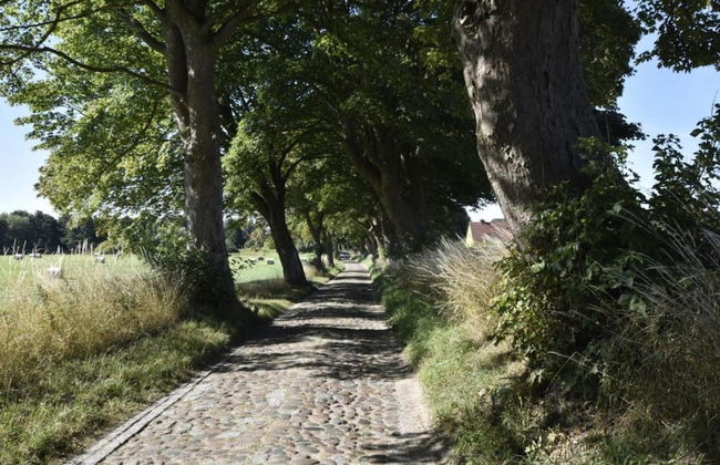 Historic Apartment in Gerdshagen With Garden - Foto 144