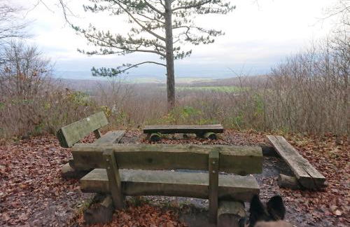 Im Buchenwäldchen - ruhig gelegenes Haus in der Natur für bis zu 12 Personen - Foto 38