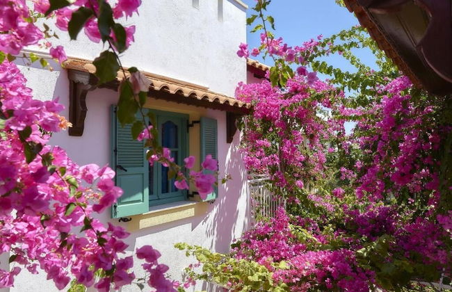 Paul Marie - Foto 37