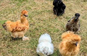 Hacienda Natura Agroturystyka - Photo 21