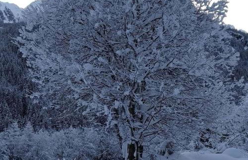 Appartamenti Presanella - Foto 8