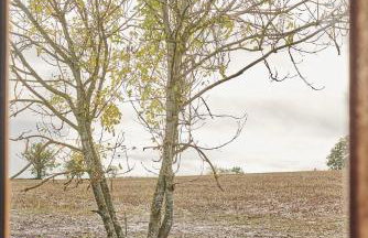 Big Sky Hideaway - Foto 9