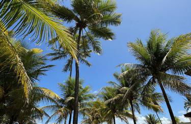 Casa beira mar - Carneiros (30’ de carro) - Photo 47