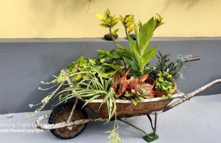 Terra Chã Cottage,FEEL Home, - Foto 31