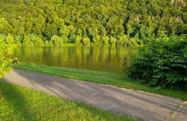Ferienwohnungen am Moselbeach - Foto 37