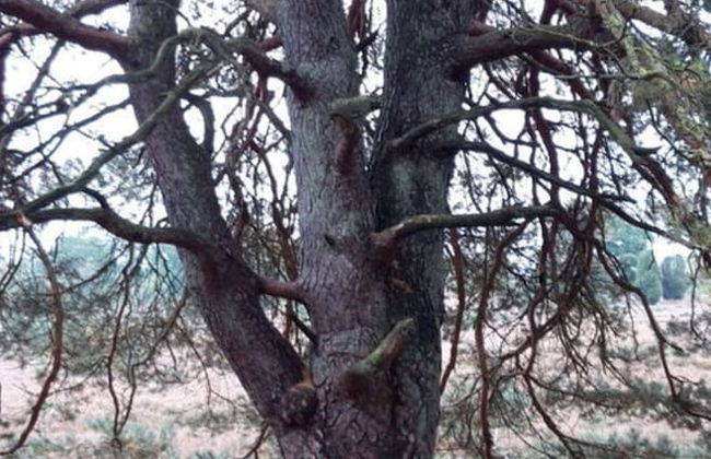 Apartment at the Eichenpark - Foto 24